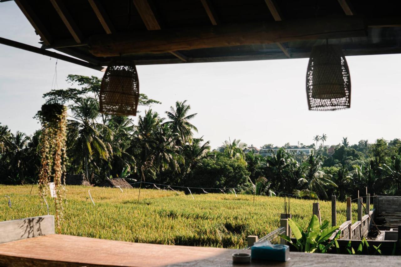 ราดิตยา วิลลา อูบุด Villa ภายนอก รูปภาพ