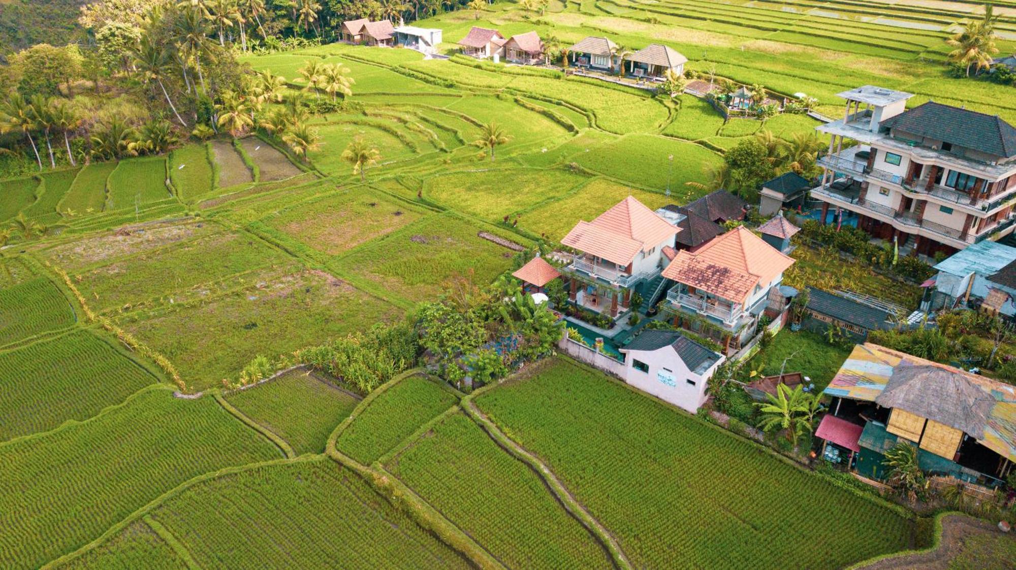 ราดิตยา วิลลา อูบุด Villa ภายนอก รูปภาพ